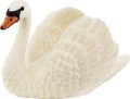 Schwan