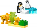 Duplo Wildtier-Familien: Pinguine und Löwen