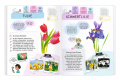 Rätseln, Stickern, Bestimmen - Blumen
