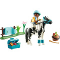 Country Sammelpony Lewitzer