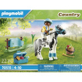 Country Sammelpony Lewitzer