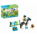 Country Sammelpony Lewitzer