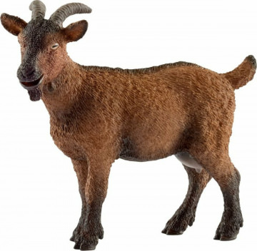 Ziege
