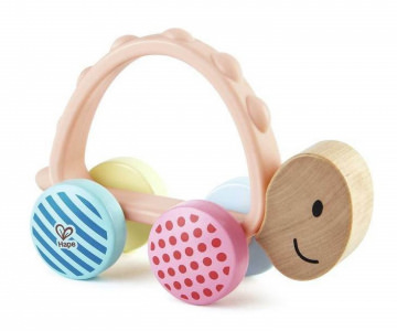 Rennschildkröte Rike