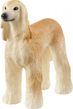 Windhund