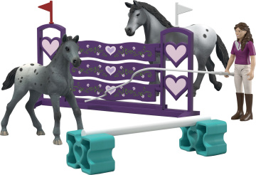 Lisas Turnier-Training